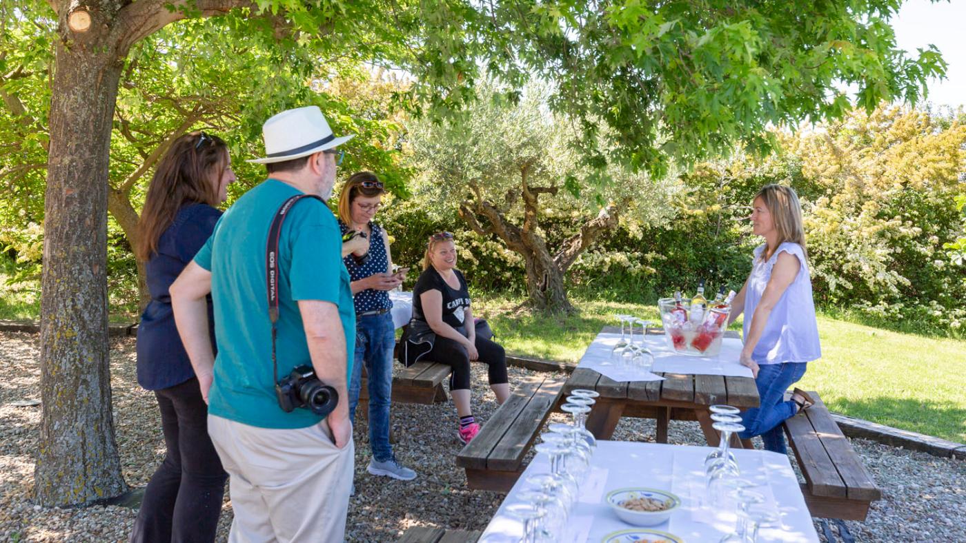 Groupe participant à une expérience d’œnotourisme en plein air